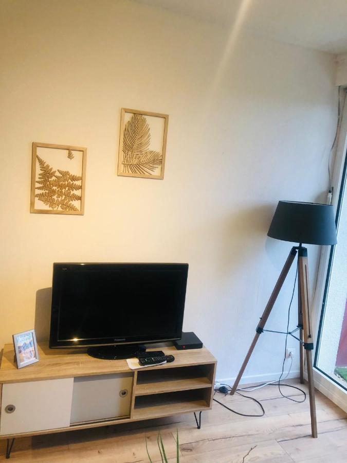 Le Petit Park-Studio-Terrasse- Piscine-Wifi Fibre Apartment Pau Bagian luar foto